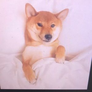 Meet your Posher, Destiny